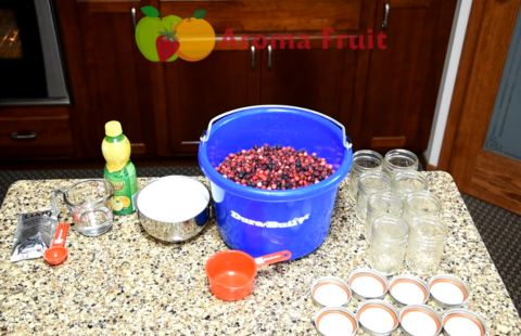 Juneberry Jelly Recipe