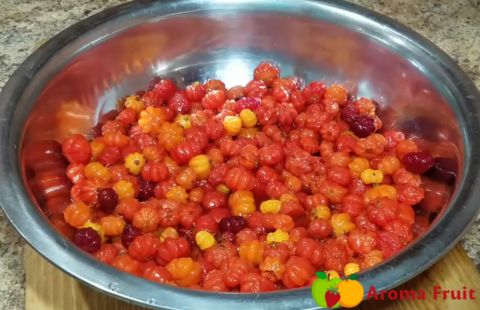 Surinam Cherry Recipe